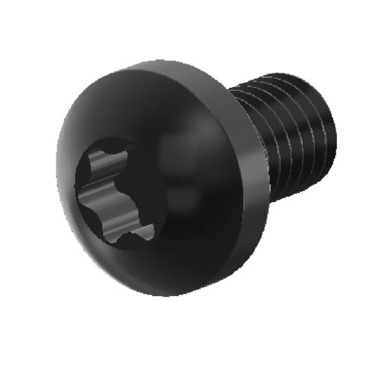 Fixing screw for handle